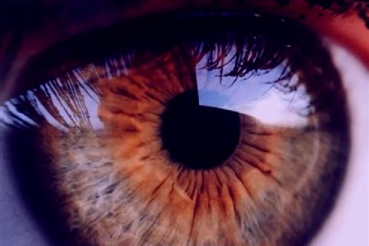 Isabella, 26, a red hazel-eyed caucasian companion based in Pella. Offering Domination, Girlfriend Experience, Striptease, 69. Available for incall and outca...