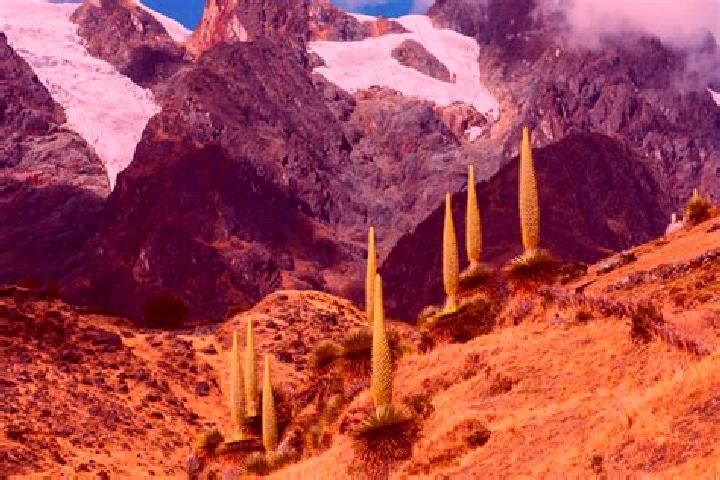 Isabella, 27 — Escort in Catac, Peru