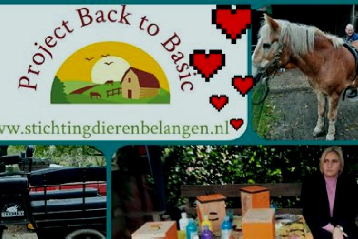 Isabella, 28 — Escort in Aldlan-Oost, Netherlands