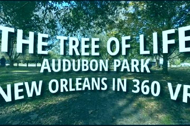 Isabella, 28 — Escort in Audubon Park, United States
