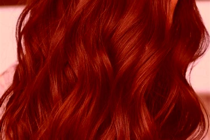 Isabella, 29, a chestnut dark-eyed european companion based in Norway. Offering Dinner Date, Massage, GFE, Domination. Available for incall and outcall, day ...
