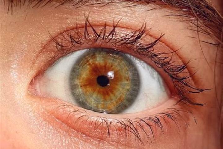 Isabella, 30, a red hazel-eyed mixed companion based in Ningtang. Offering Fetish, 69, Domination. Available for incall and outcall, overnight bookings avail...