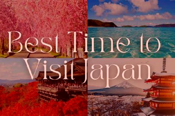 Isabella, 30 — Escort in Itabashi, Japan