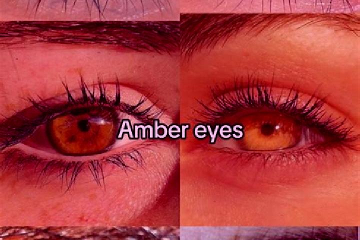 Isabella, 31, a dark blonde amber-eyed mixed companion based in Zwardon. Offering Domination, 69, Roleplay. Available for incall and outcall, overnight booki...