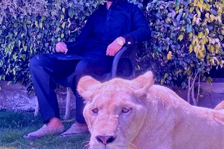 Isabella, 31 — Escort in Sehnsa, Pakistan