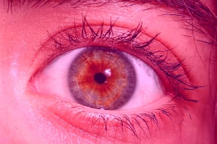 Isabella, 32, a red hazel-eyed slavic companion based in Nangkapayung. Offering A-Level, Prostate Massage, Party Girl. Available for incall and outcall, day ...