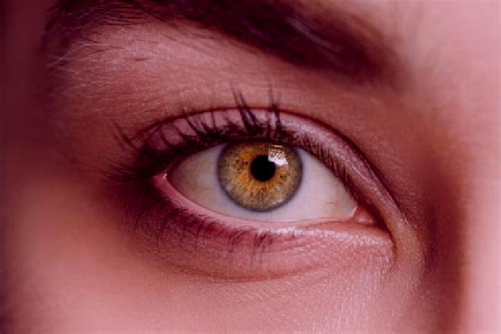Isabella, 33, a black hazel-eyed slavic companion based in Almedia. Offering Striptease, GFE, BDSM. Available for incall and outcall, overnight bookings avai...