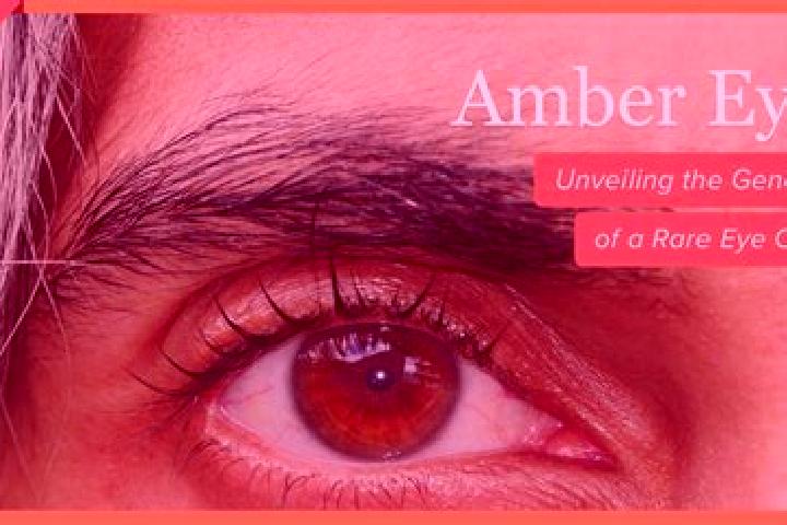 Isabella, 33, a red amber-eyed caribbean companion based in Sainte-Ouenne. Offering Duos, CIM, Massage, Striptease, Prostate Massage. Available for incall an...