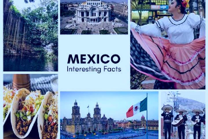 Isabella, 33 — Escort in Mojarritas, Mexico