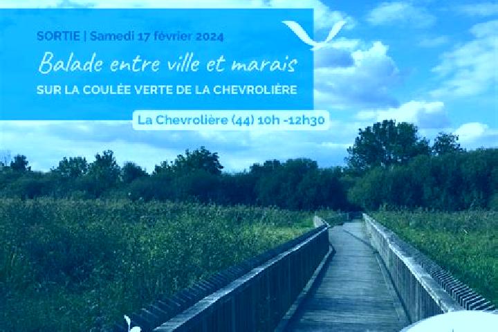 Isabella, 35 — Escort in La Chevroliere, France