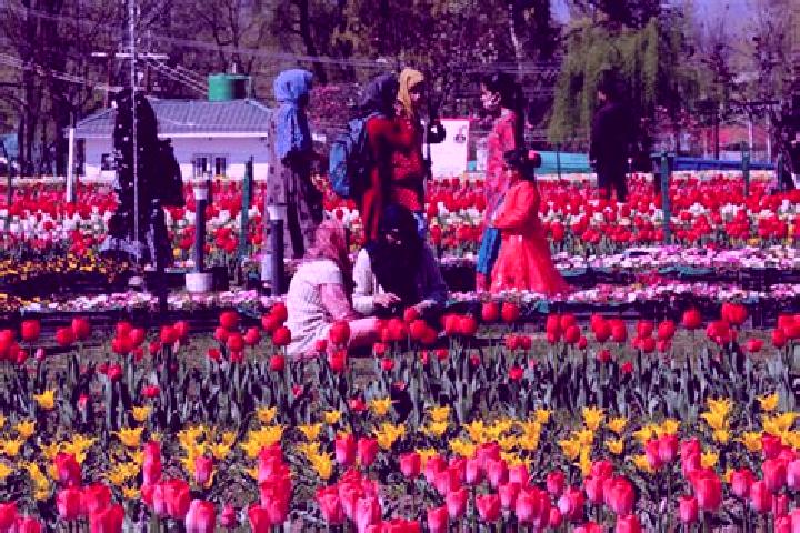 Isabella, 35 — Escort in Surkh Bilandi, Afghanistan