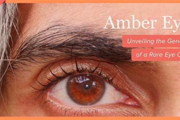 Isabella, 36, a red amber-eyed middle eastern companion based in Shanghang. Offering Striptease, Fetish, GFE. Available for incall and outcall, day and eveni...