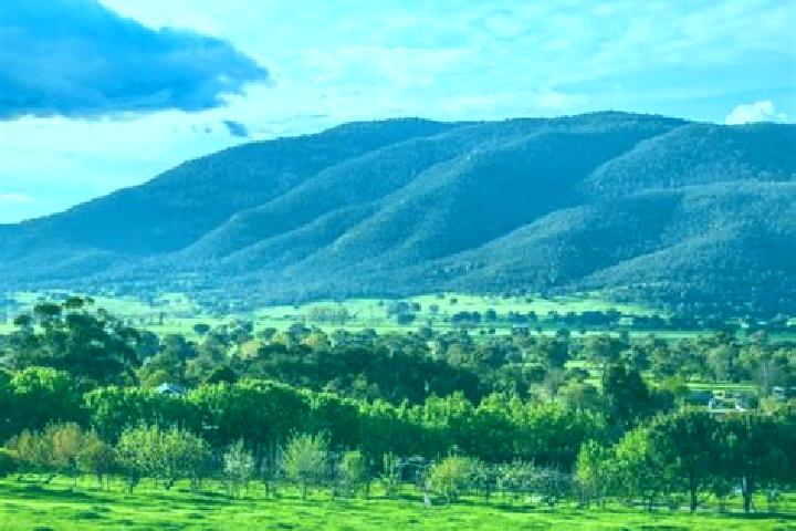 Isabella, 36 — Escort in Corryong, Australia