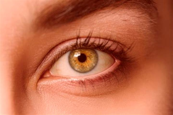 Isabella, 37, a chestnut hazel-eyed mixed companion based in Lchavan. Offering A-Level, OWO, Party Girl. Available for incall and outcall, overnight bookings...