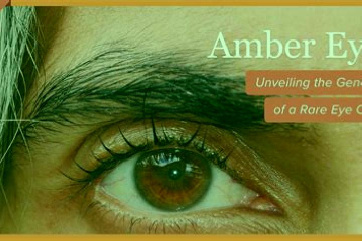 Isabella, 37, a red amber-eyed indian companion based in Fontyniasy. Offering Fetish, Couples, A-Level, Girlfriend Experience. Available for incall and outca...