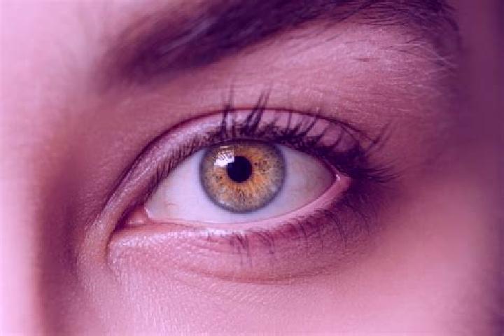 Isabella, 38, a chestnut hazel-eyed mixed companion based in Oberonz. Offering A-Level, Overnight, Dinner Date. Available for incall and outcall, overnight b...