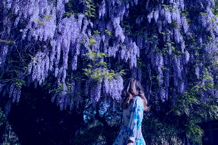 Isabella, 38 — Escort in Schitu Scoicesti, Romania