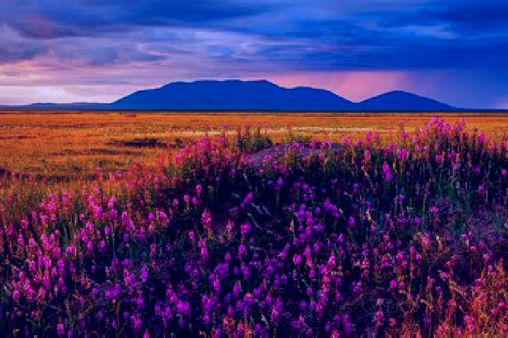Isabella, 39 — Escort in Tundra, India