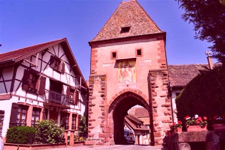 Ivy, 20 — Escort in Boersch, France
