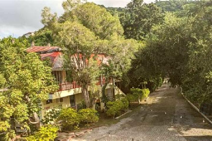 Ivy, 20 — Escort in Castle Comfort, Dominica