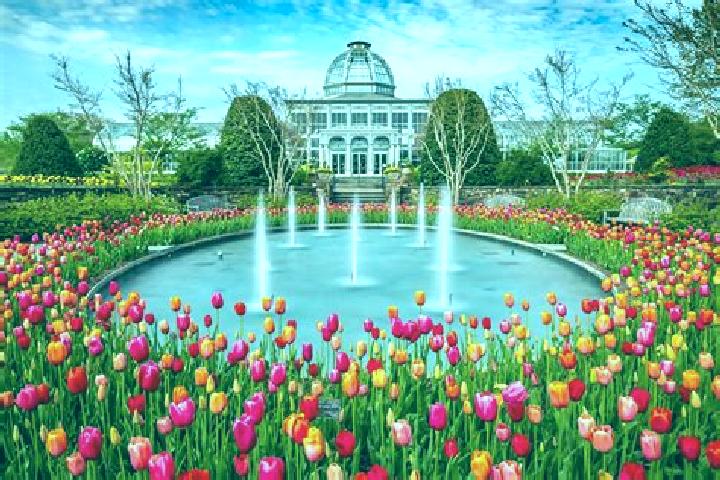 Ivy, 20 — Escort in Cypress Gardens, United States