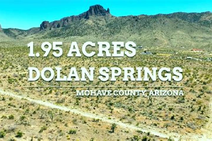 Ivy, 20 — Escort in Dolan Springs, United States
