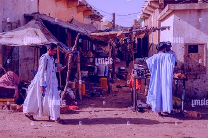 Ivy, 20 — Escort in El Ayoun, Mauritania