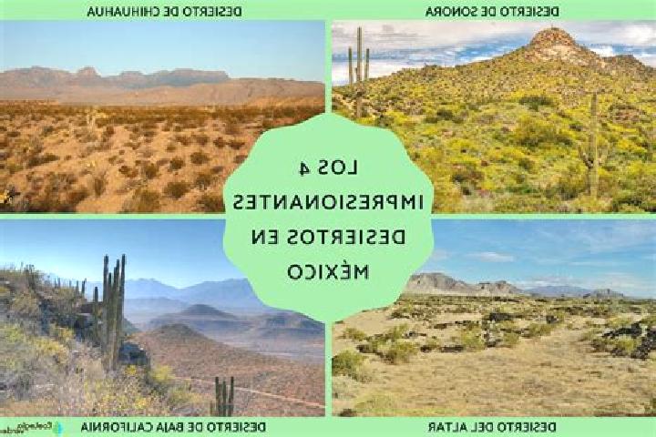 Ivy, 20 — Escort in El Desierto, Mexico