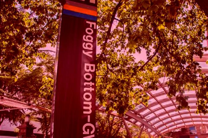 Ivy, 20 — Escort in Foggy Bottom, United States