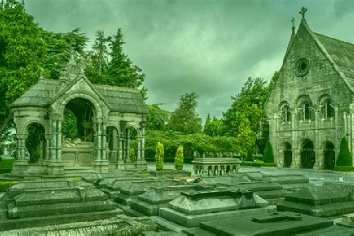 Ivy, 20 — Escort in Glasnevin, Ireland