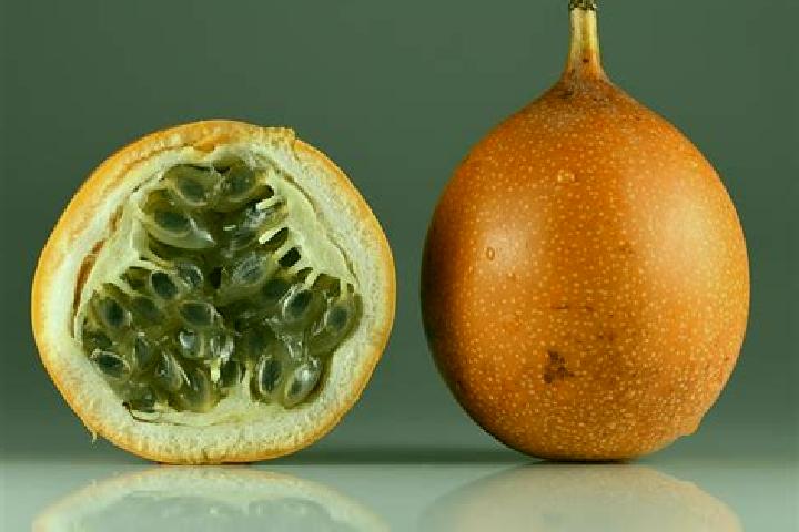Ivy, 20 — Escort in La Granadilla, Mexico