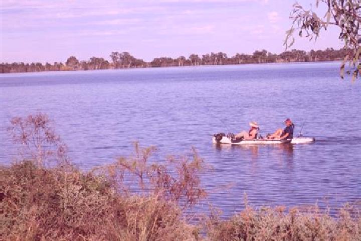Ivy, 20 — Escort in Lake Cargelligo, Australia
