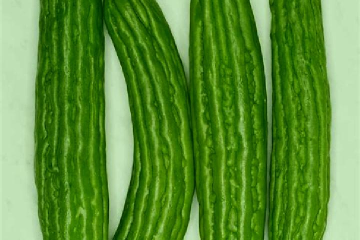 Ivy, 20 — Escort in Melon, Spain
