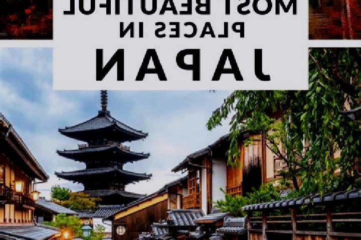 Ivy, 20 — Escort in Ogi, Japan