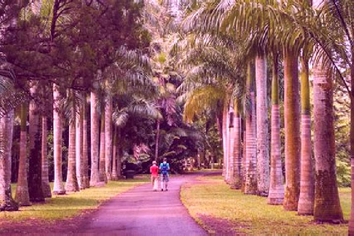 Ivy, 20 — Escort in Plaines des Roches, Mauritius