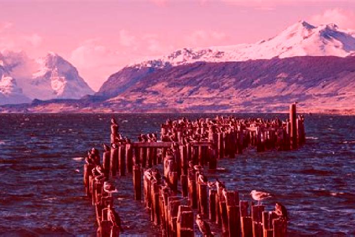Ivy, 20 — Escort in Puerto Natales, Chile