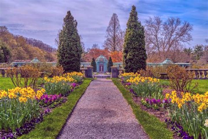 Ivy, 20 — Escort in Royal Gardens, Canada