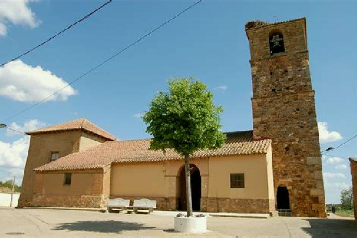 Ivy, 20 — Escort in Santa Colomba de las Monjas, Spain