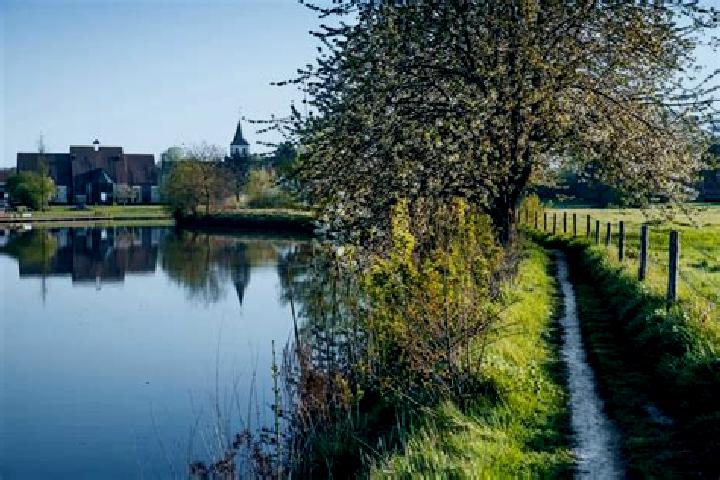 Ivy, 20 — Escort in Sint-Martens-Latem, Belgium