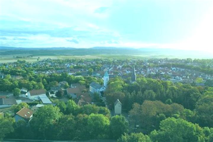 Ivy, 20 — Escort in Wallertheim, Germany