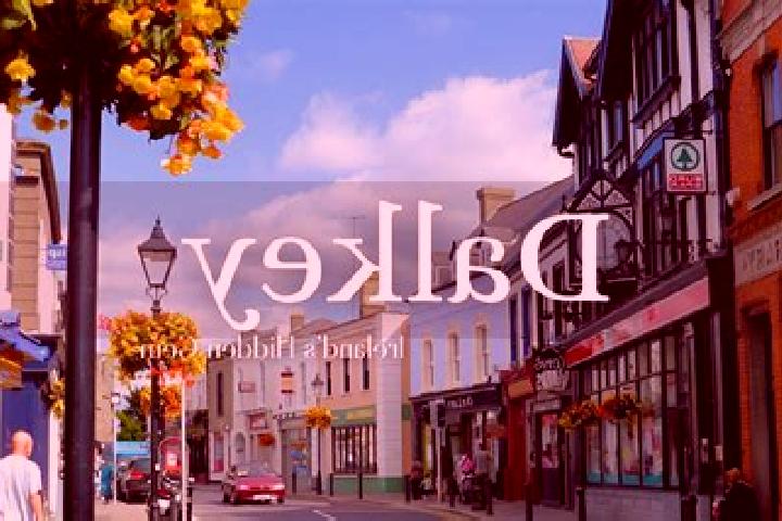 Ivy, 21 — Escort in Dalkey, Ireland