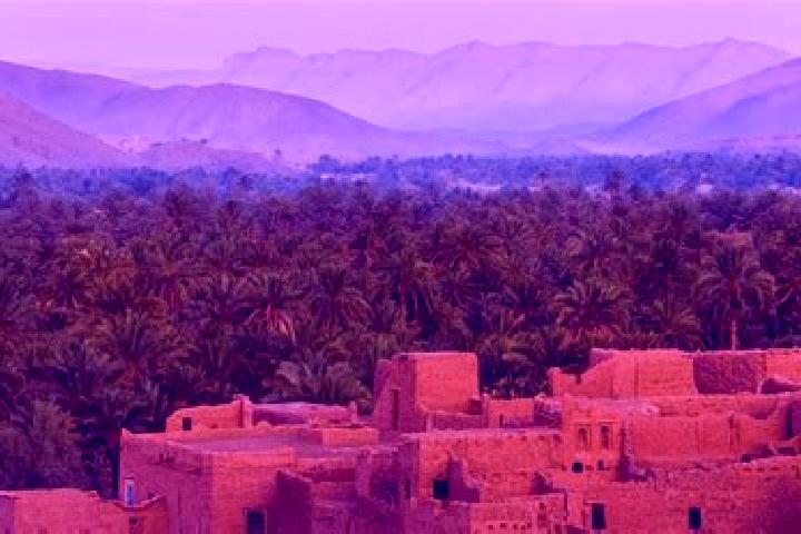 Ivy, 21 — Escort in El Ouatia, Morocco
