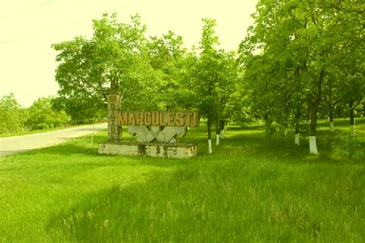 Ivy, 21 — Escort in Floresti, Moldova