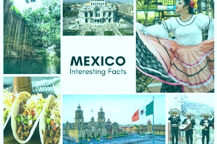 Ivy, 21 — Escort in Macustepetla, Mexico