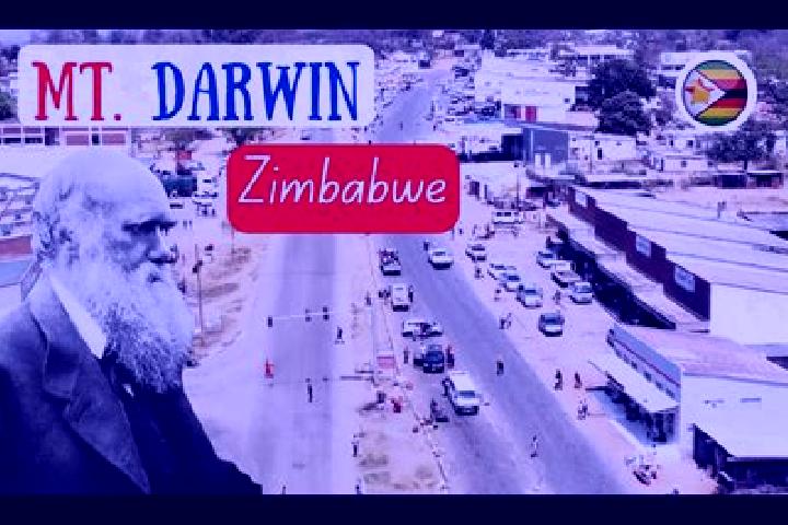 Ivy, 21 — Escort in Mount Darwin, Zimbabwe