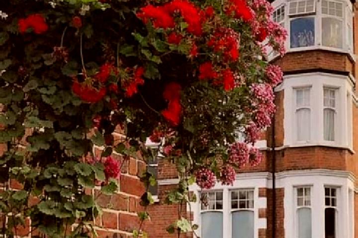 Ivy, 21 — Escort in Muswell Hill, United Kingdom