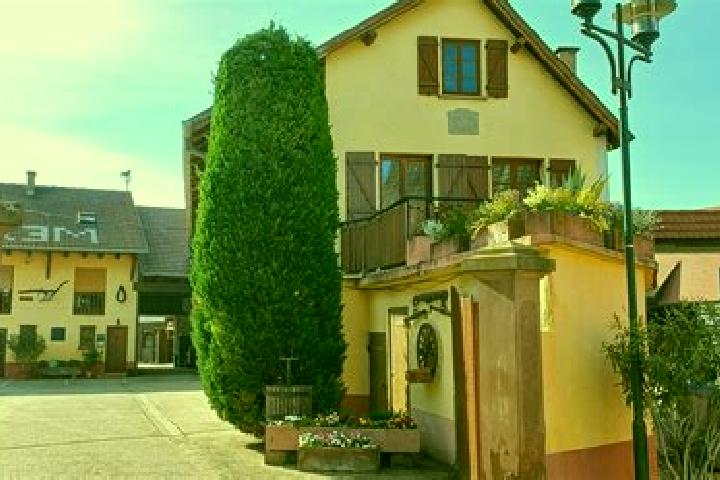 Ivy, 21 — Escort in Oberschaeffolsheim, France