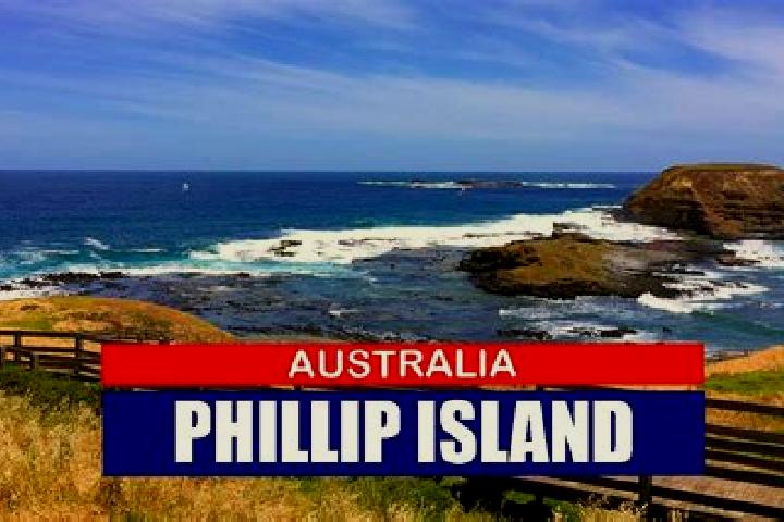 Ivy, 21 — Escort in Phillip, Australia