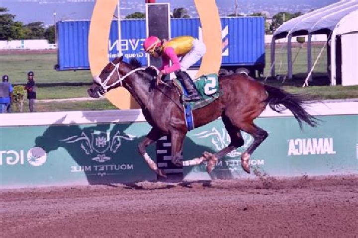 Ivy, 21 — Escort in Race Course, Jamaica