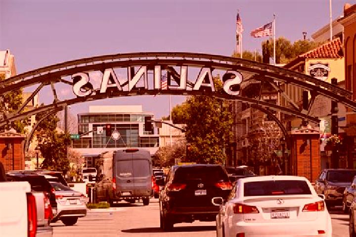 Ivy, 21 — Escort in Salinas Victoria, Mexico